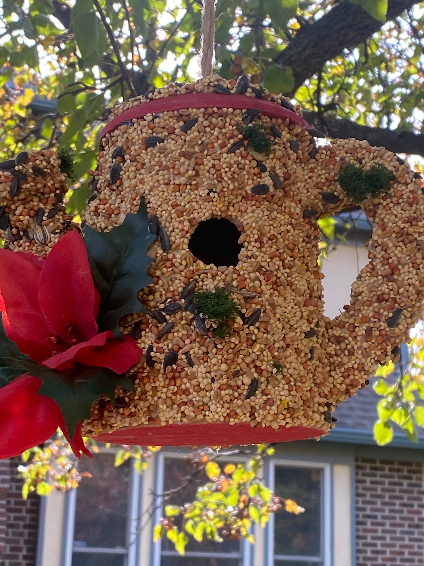 A Red Trim Watering Can decorated with Poinsettia ๐บ flower
