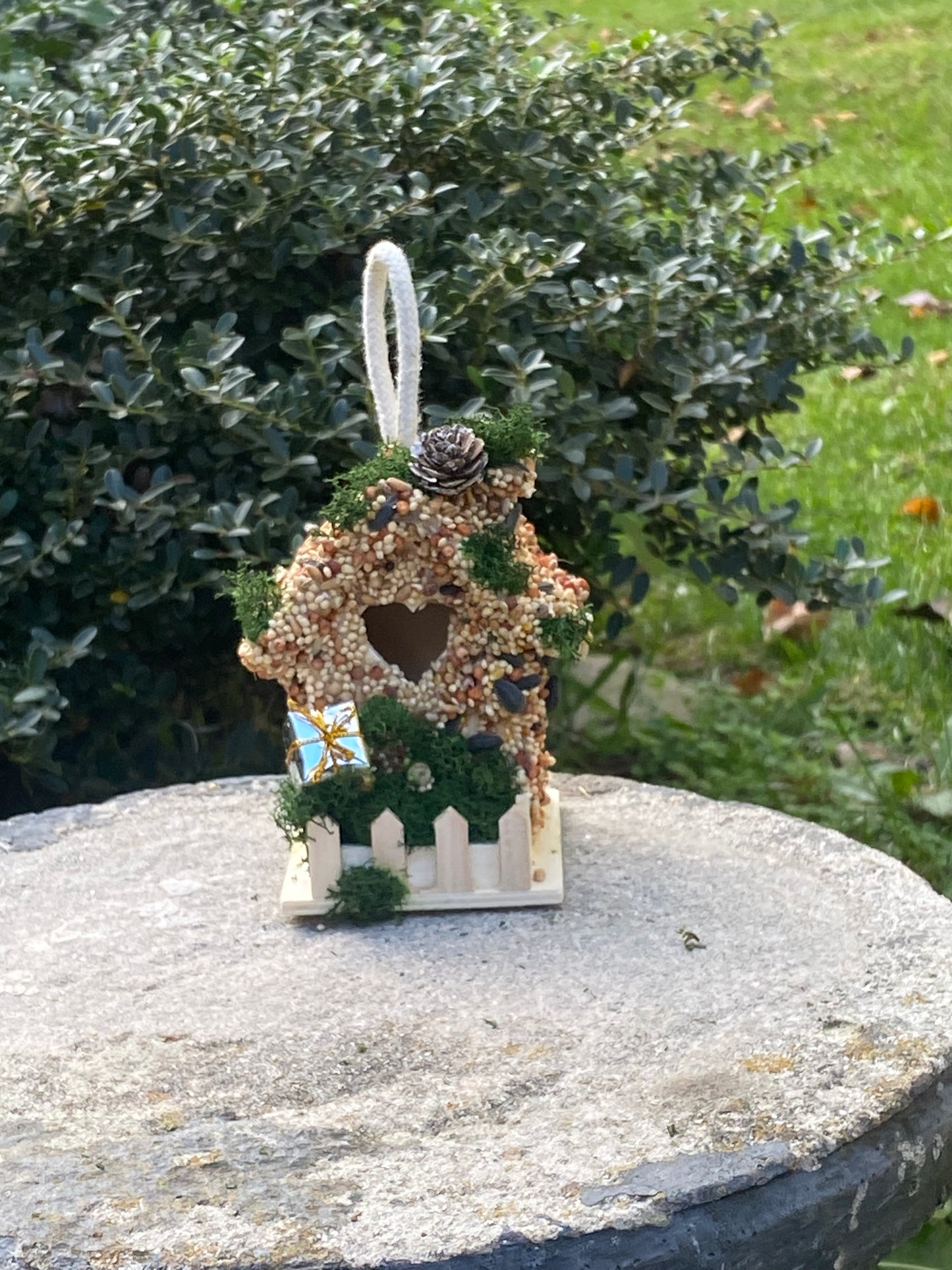 Small Present 🎁 Birdhouse