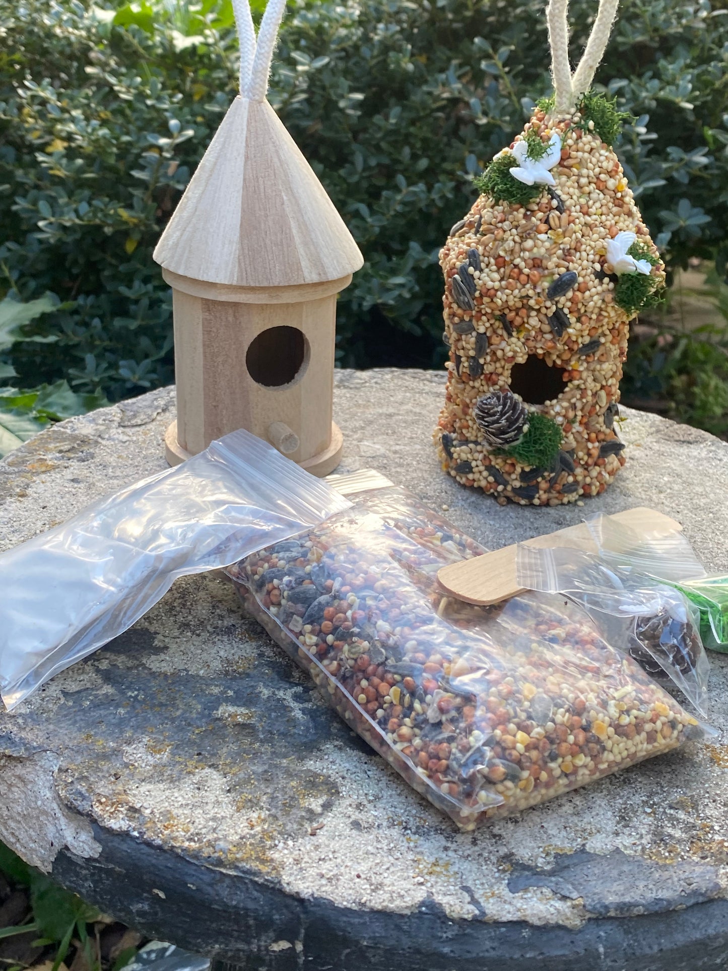 Dove- Take and Make Kit