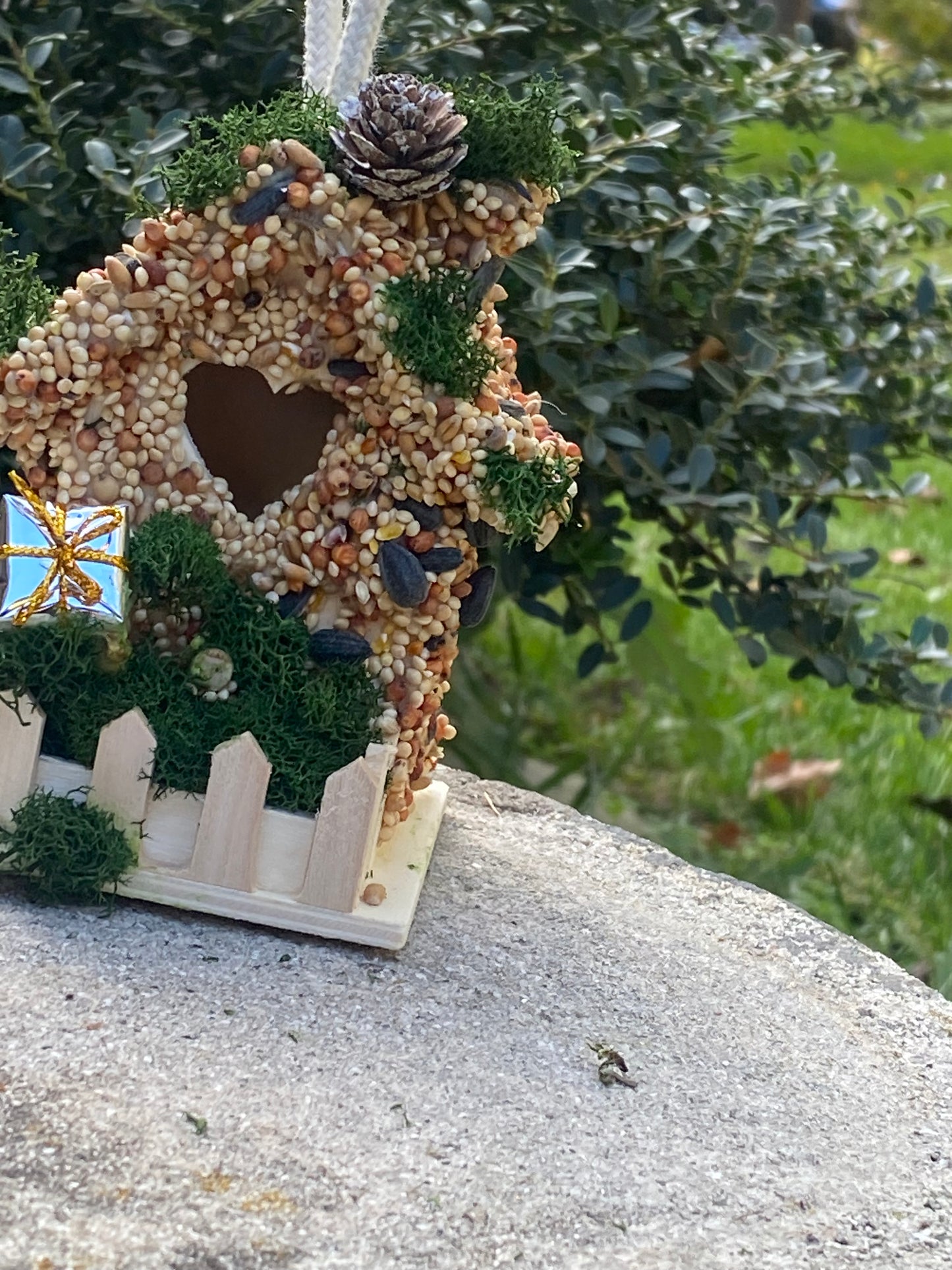 Small Present 🎁 Birdhouse