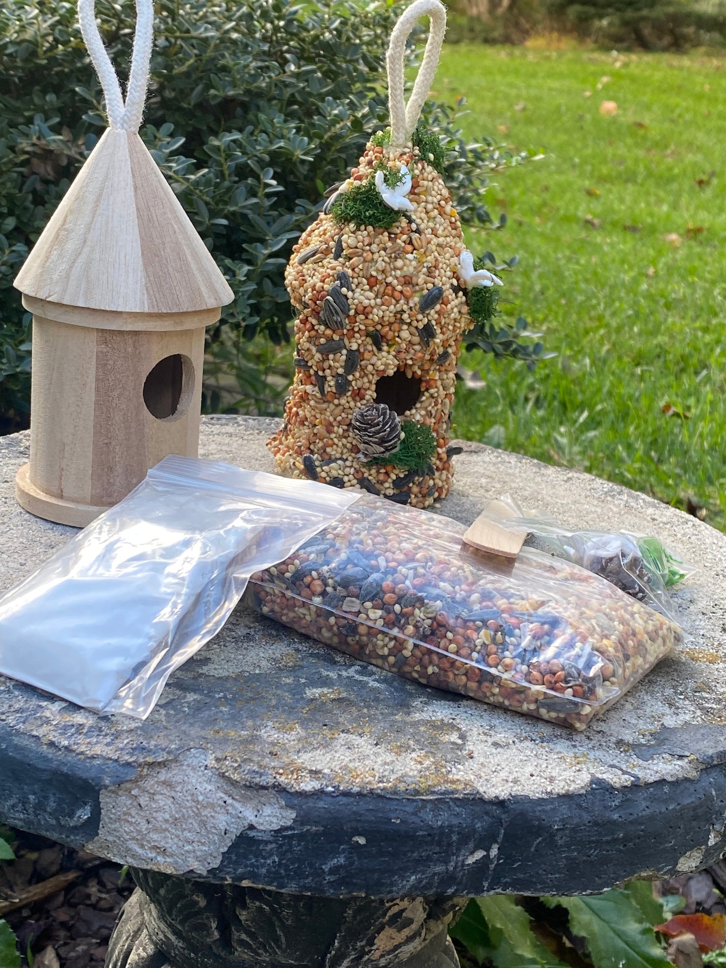 Dove- Take and Make Kit