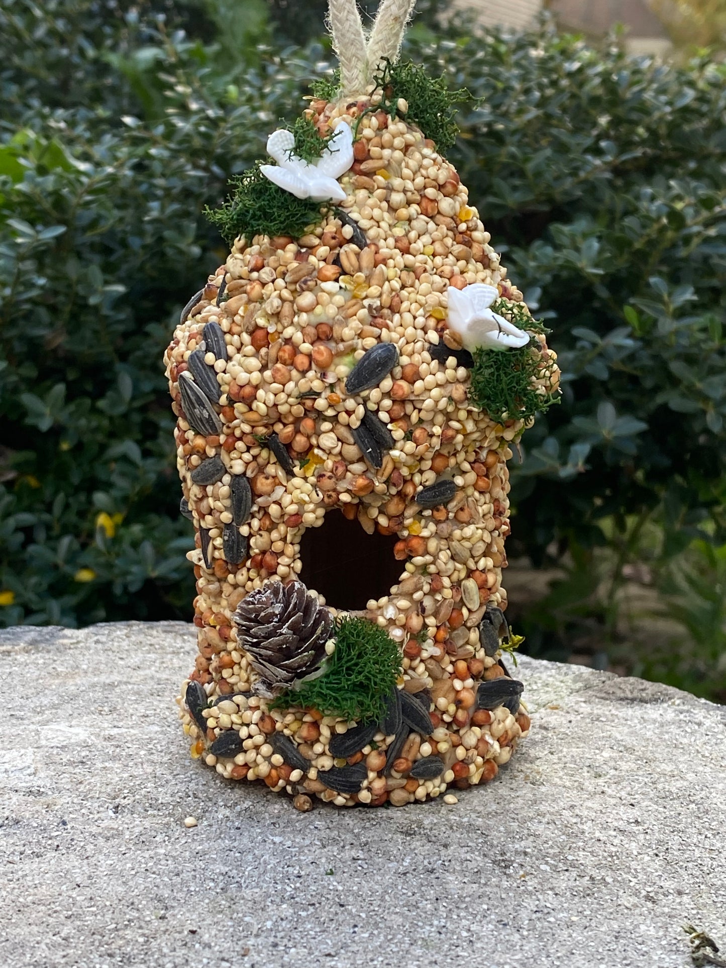 Dove- Take and Make Kit