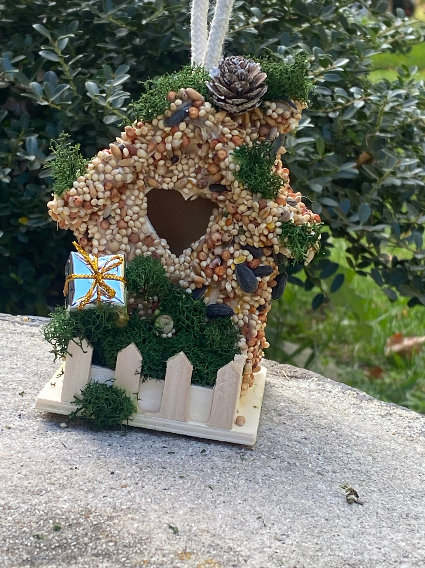 Small Present 🎁 Birdhouse