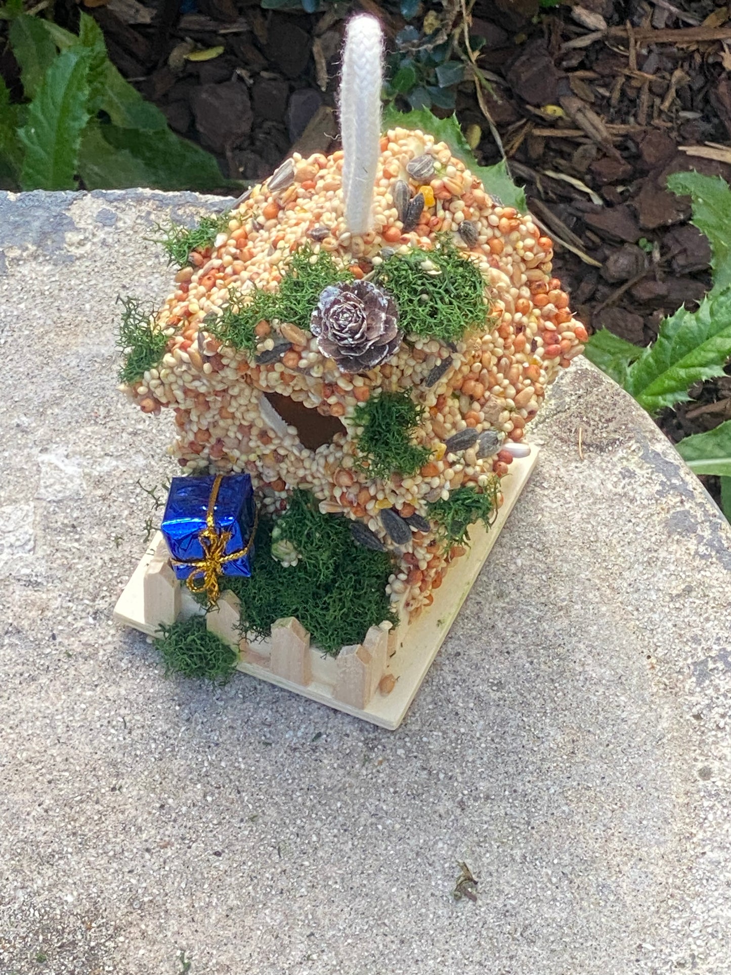 Small Present 🎁 Birdhouse