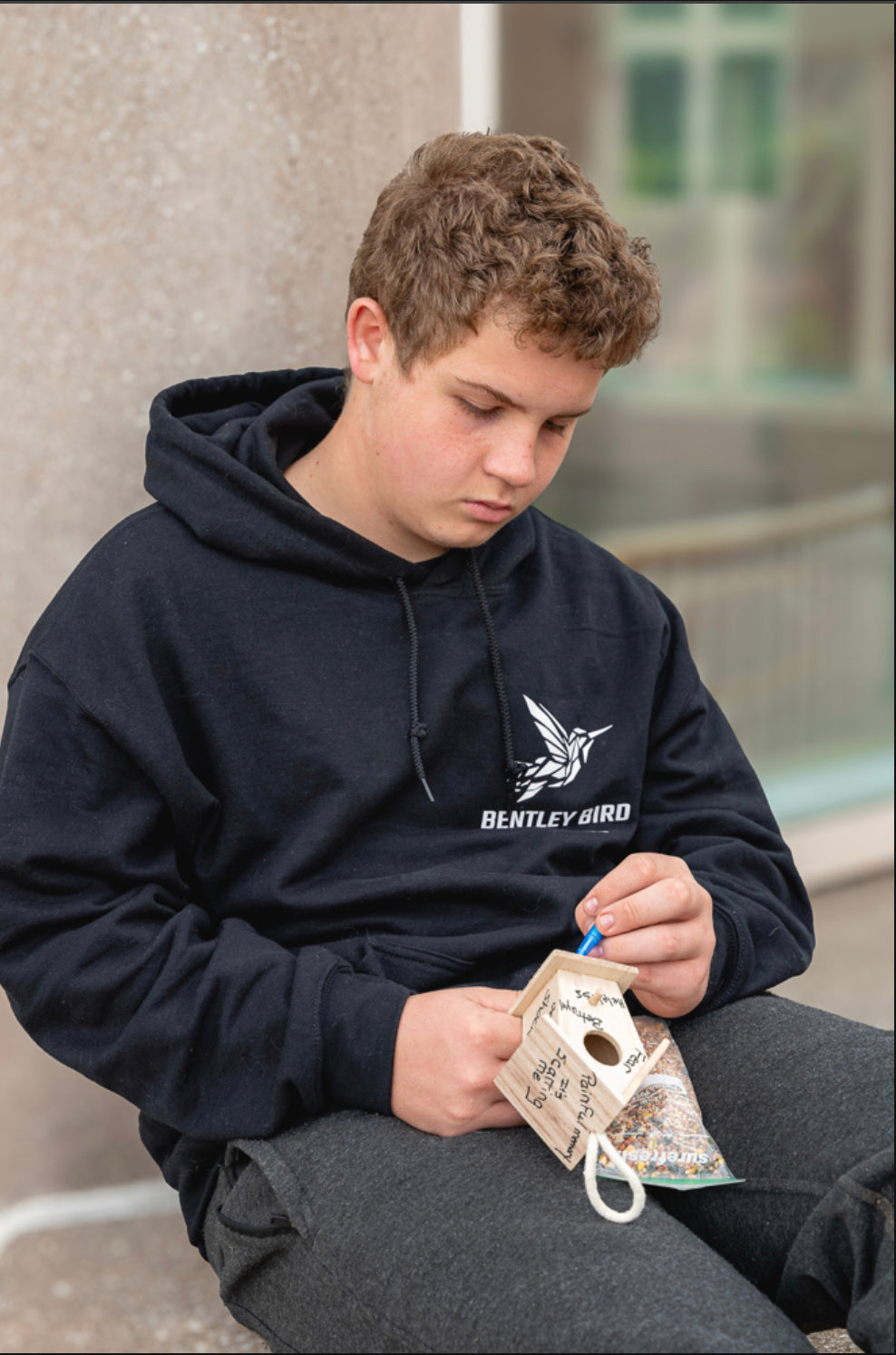 Gratitude, Blessing or Creative Wellness Birdhouse.