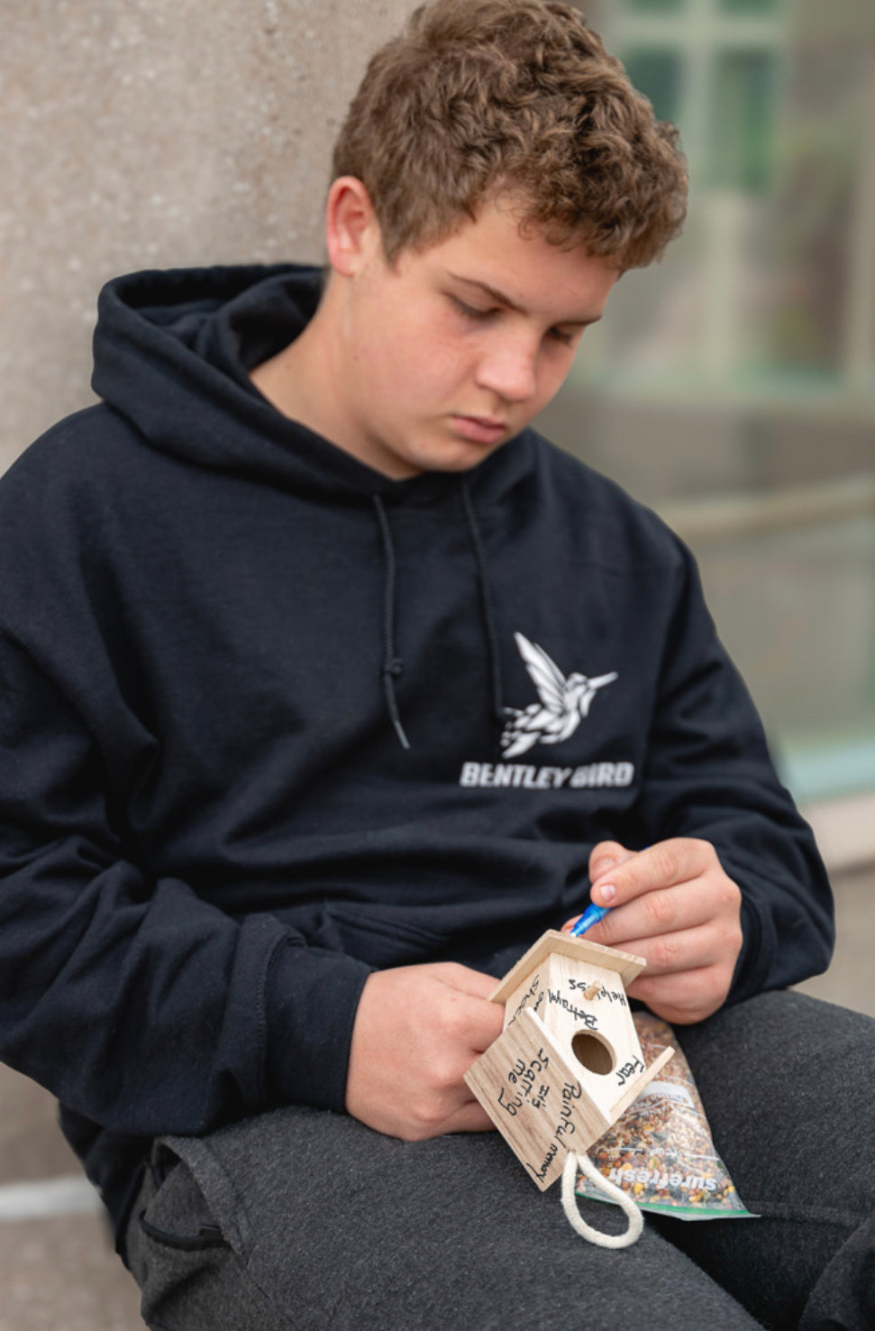 Gratitude, Blessing or Creative Wellness Birdhouse.