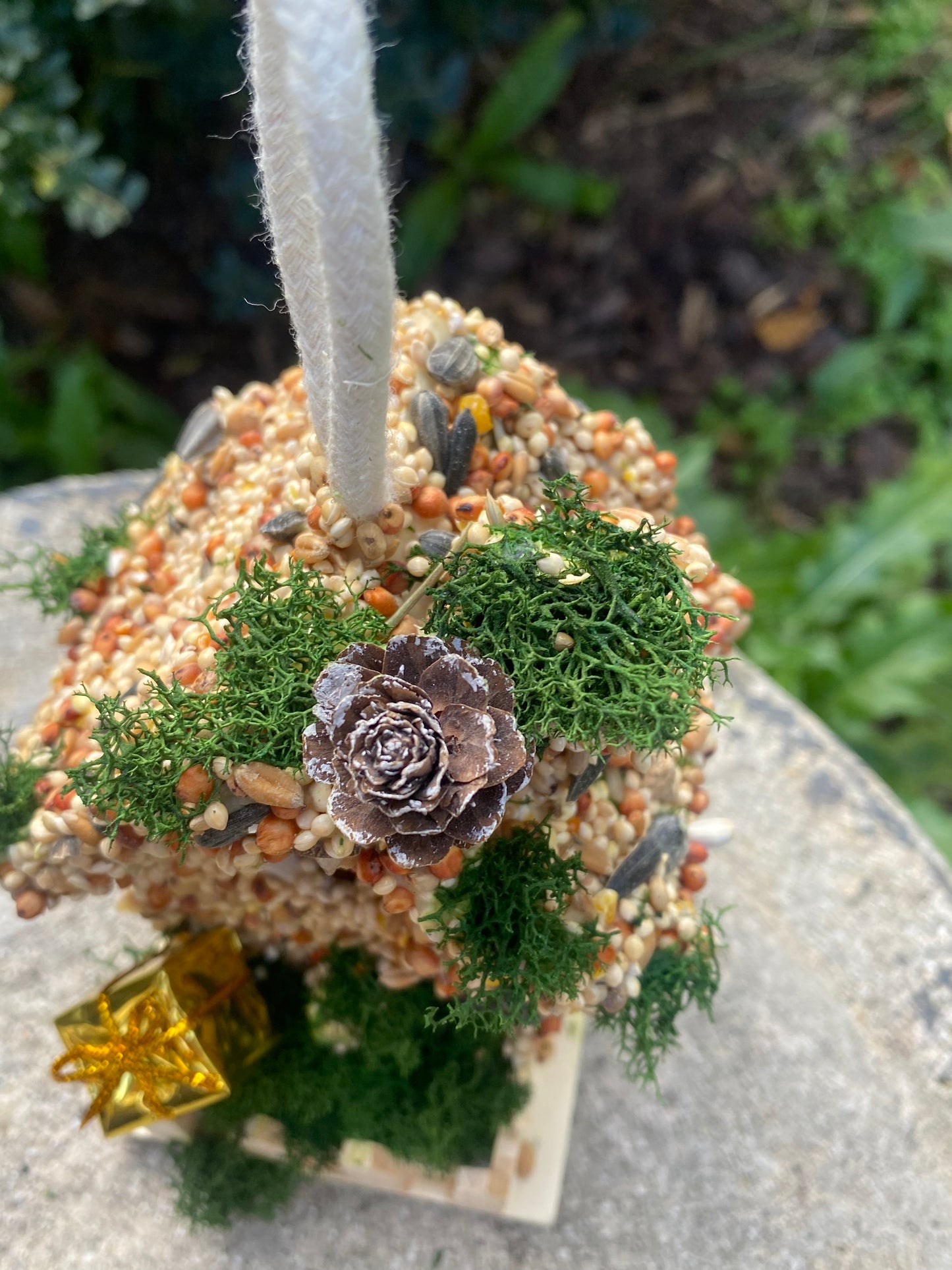 Small Present 🎁 Birdhouse