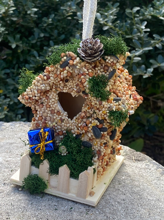 Small Present 🎁 Birdhouse