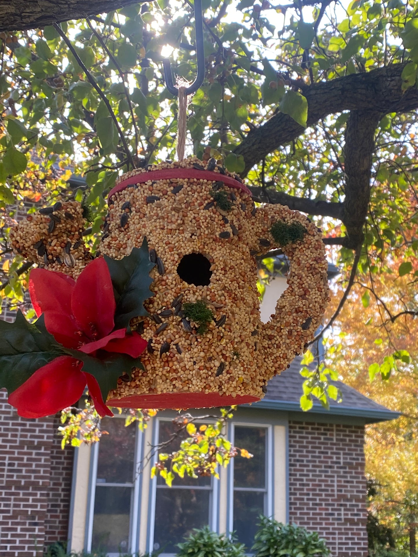 A Red Trim Watering Can decorated with Poinsettia 🌺 flower