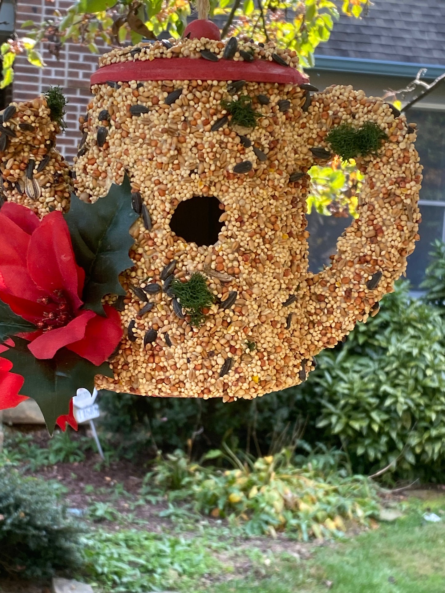 A Red Trim Watering Can decorated with Poinsettia 🌺 flower