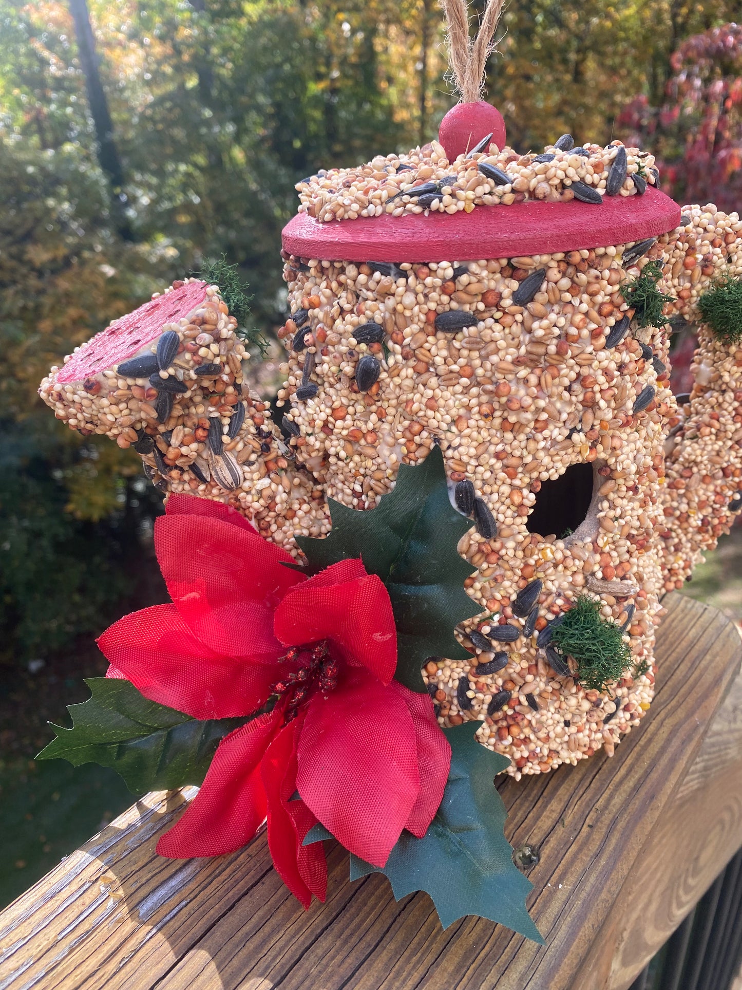 A Red Trim Watering Can decorated with Poinsettia 🌺 flower