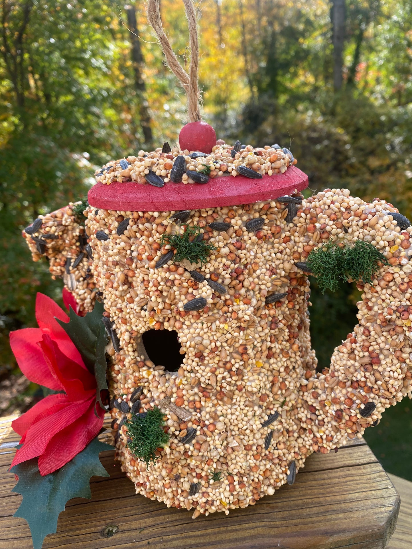 A Red Trim Watering Can decorated with Poinsettia 🌺 flower